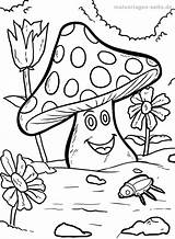 Pilz Malvorlagen Malvorlage Ausmalbilder Pilze Fliegenpilz Ausmalen Pflanzen Ausmalbild Blumenwiese Blumen Mandala Lesen Herbst sketch template
