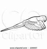 Outline Parrot Flying Coloring Clipart Illustration Royalty Lal Perera Rf 2021 sketch template