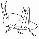 Grasshopper In19 2kids Bug sketch template