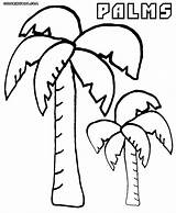 Palm Coloring Pages Colorings sketch template