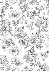 Adult Pages Coloring Colouring Calm sketch template
