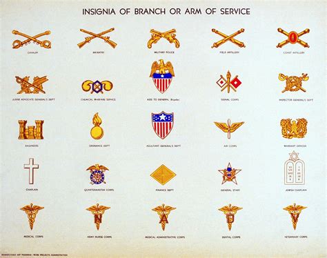 army officer branch insignia army military