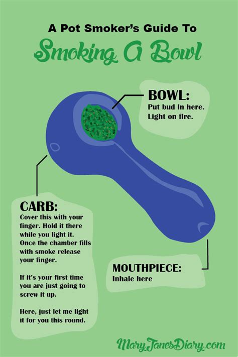 pot smokers guide  life infographic series mary janes diary