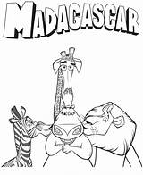 Madagascar Colorir Gloria Melman Marty Colouring Tudodesenhos Coloradisegni Cartoni Colorare Gia Amici Suoi Madagascar3 Animati Condividi sketch template