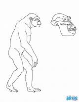 Preistoria Australopithecus Uomini Primitivi Fabio Didattiche Giochiecolori sketch template