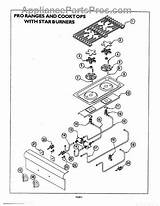 Parts Burner Star Thermador Diagram Appliancepartspros sketch template