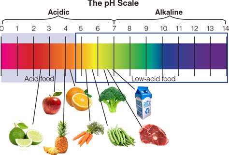 ph measurement  pickled fruits  vegetables horiba