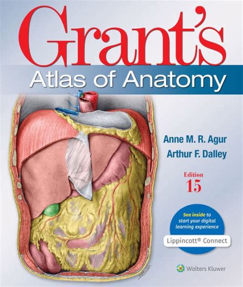 Grant S Atlas Of Anatomy Edition 15 By Anne M R Agur Bsc Ot Msc