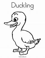 Duckling Duck Coloring Ugly Pages Ducklings Template Drawing Color Cute Way Make Colouring Printable Noodle Twisty Outline Clipart Goosey Loosey sketch template