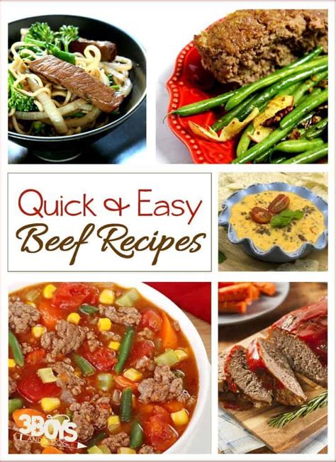 easy  quick beef recipes  boys   dog