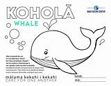 Moc Whale sketch template