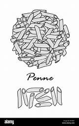 Penne sketch template