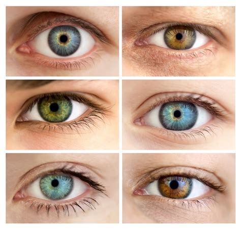 types  eyes colors
