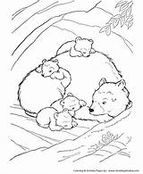 Coloring Bear Pages Animals Sleeping Hibernating Kids Animal Brown Little Drawing Woods Big Printable Smokey Tundra House Cave Color Den sketch template