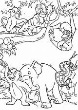 Giungla Mowgli Coloringtop Snake Baloo Junglebook Louie sketch template
