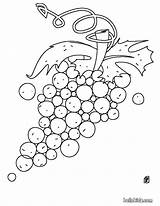 Grapes Coloring Pages Hellokids Print Color Online sketch template