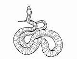 Snake Coloring Pages Kids Rattlesnake Snakes Printable Drawing Ninjago Realistic Serpent Line Colouring Python Color Anaconda Print Diamondback Sheet Clipart sketch template