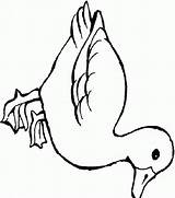 Duck Coloring Pages Hunting Cliparts Farm Library Clipart Drawing sketch template