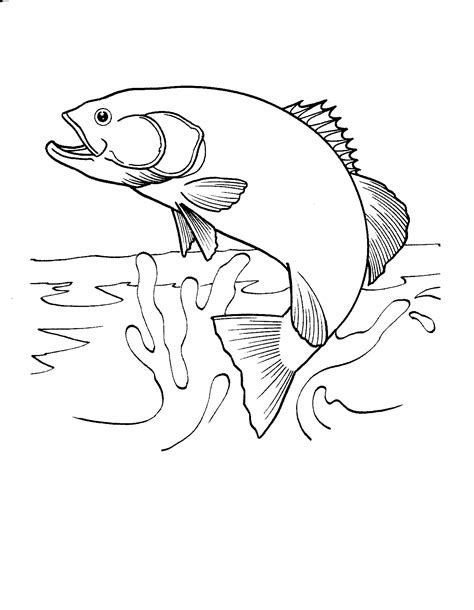 realistic tropical fish coloring page