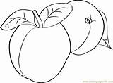 Apricots Coloring Coloringpages101 Pages sketch template