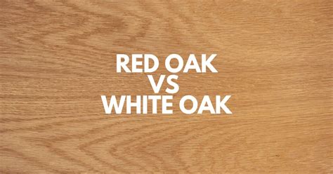 distinguishing red  white oak  wood