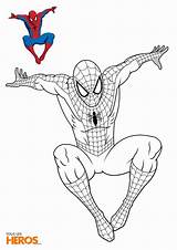 Coloring Avengers Pages Spiderman Kids Marvel Pdf Cartoon Colouring Tsgos Sheets sketch template