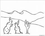 Desert Coloring Pages Cactus Oasis Online Color Getdrawings Getcolorings sketch template