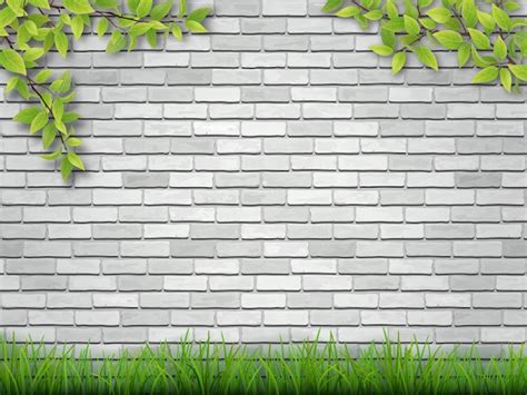 wall background images grandongpng