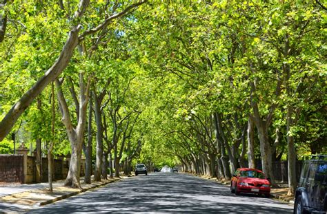 life  unley park   top adelaide suburb    alluring
