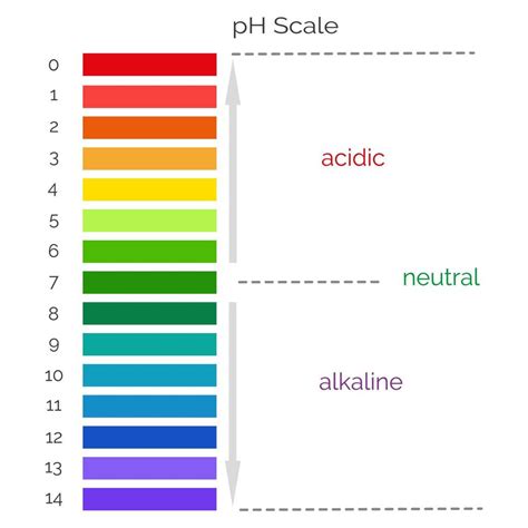 vertical ph scale  measuring acid alkaline balance chemical  test infographics