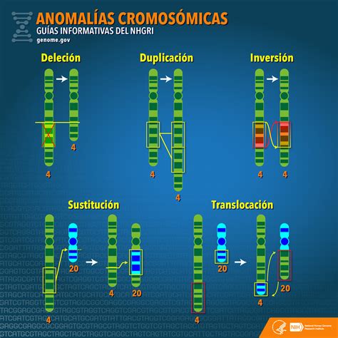 Anomalías Cromosómicas Nhgri
