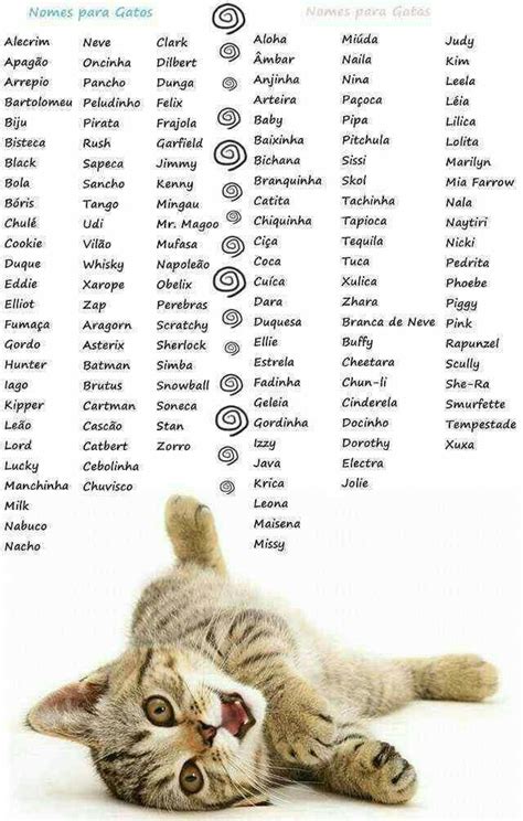 cat laying      names  cats   paws