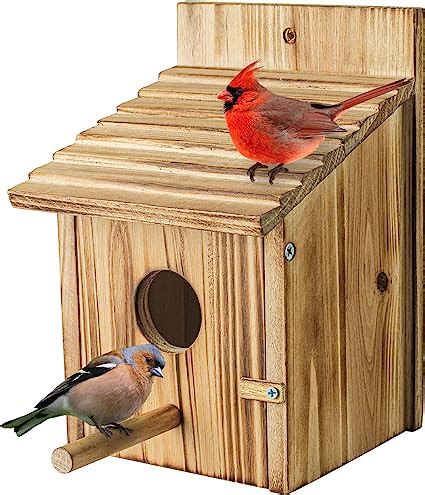 amazoncom wood bird houses    pole wooden bird house  finch bluebird