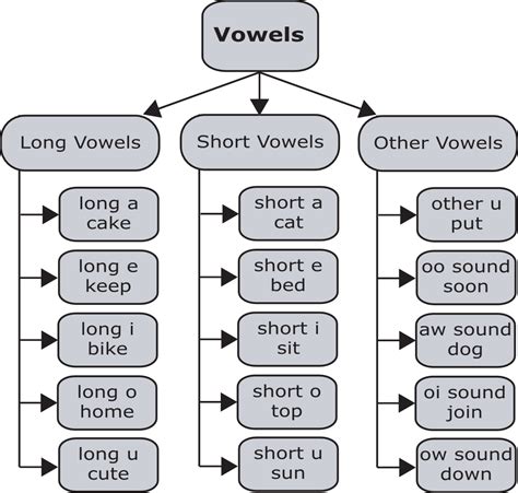 learn   pronounce   vowel sounds  american english pronuncian american english