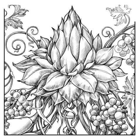 exotic coloring pages printable coloring pages