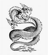 Dragon Tattoo Japanese Drawing Stencil Chinese Stencils Tattoos Deviantart Dragons Designs Drawings Asian Sketch Ideeën Printable Getdrawings Templates Wrist Draak sketch template