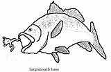 Bass Coloring Pages Largemouth Smallmouth Boat Fish Fishing Pro Silhouette Mouth Shop Color Drawing Large Getdrawings Getcolorings Printable Book Popular sketch template