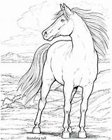 Mustang Coloring Pages Horse Realistic Printable Marvellous Color Getcolorings Stallion Getdrawings sketch template