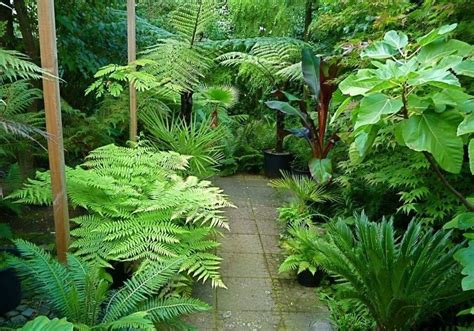 awesome tropical garden landscaping ideas  small tropical gardens