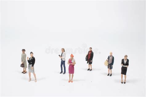 big group   small business women figure stock image image  diagram graph