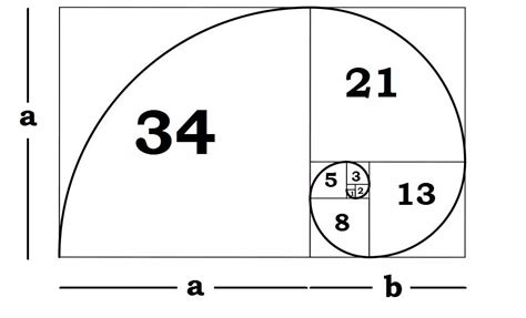 Understanding The Fibonacci Sequence And Golden Ratio Fractal