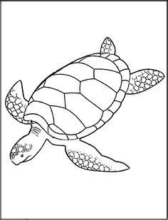 image result  sea turtle embroidery turtle coloring pages turtle