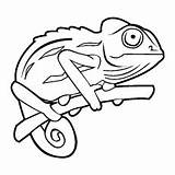 Chameleon Vector Coloring Outline Clipart Pages Cameleon Printable Drawing Illustration Camouflage Stock Clip Chameleons Tattoo Tree Drawings Depositphotos Cliparts Moziru sketch template