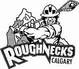 Calgary Roughneck Clipart Roughnecks Clipground sketch template