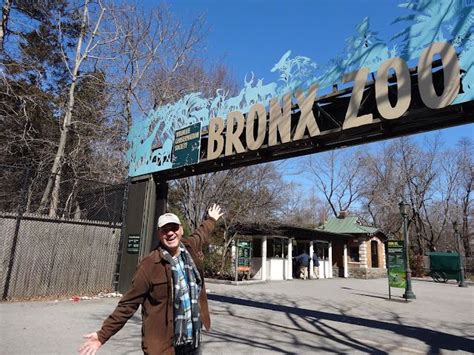 pin  stu   zoo  zoo entrances zoo entrance