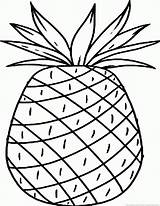 Pineapple Ananas Pineapples Aba sketch template