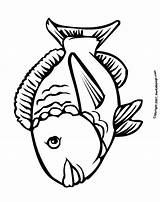Coloring Barracuda Cartoon Pages Fish Kids Cliparts Pretty Library Clipart sketch template