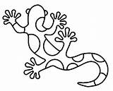 Colorat Soparla Gecko Imagini Rainforest Desene Aboriginal Lizards Lezard sketch template