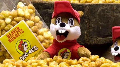 heres      buc ees iconic beaver nuggets