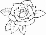 Coloring Rose Pages Roses Color Drawing Flower Familyfuncartoons Print Printable Flowers Google Drawings Kids Book sketch template